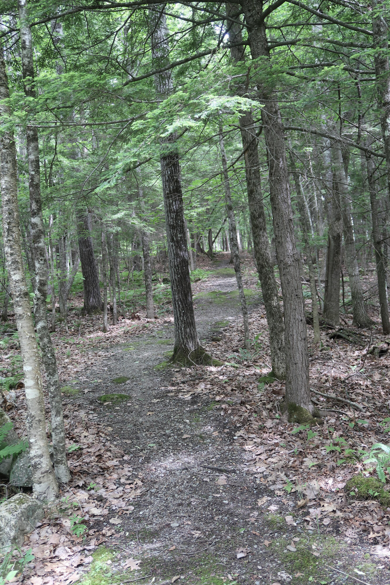 16 Lovejoy Lane Readfield, ME 04355 - Photo 57 of 63