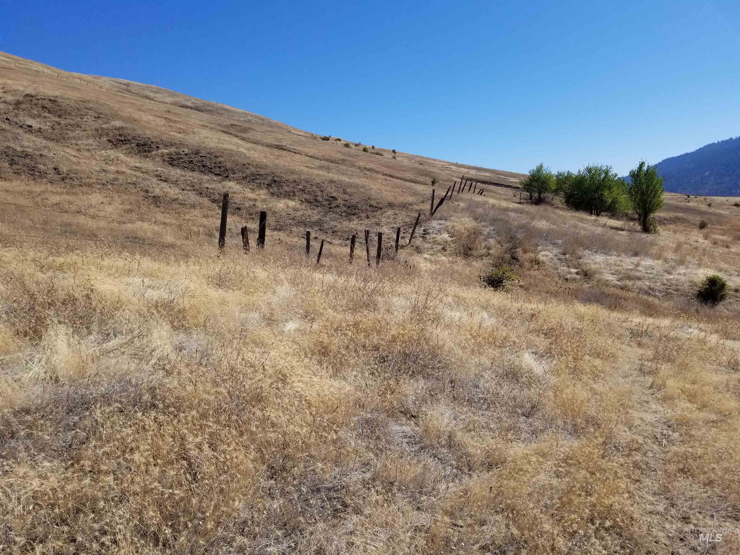 Tbd Sunnyside Bench Road Lenore, ID 83541 - Photo 24 of 37 Gallery Image 24