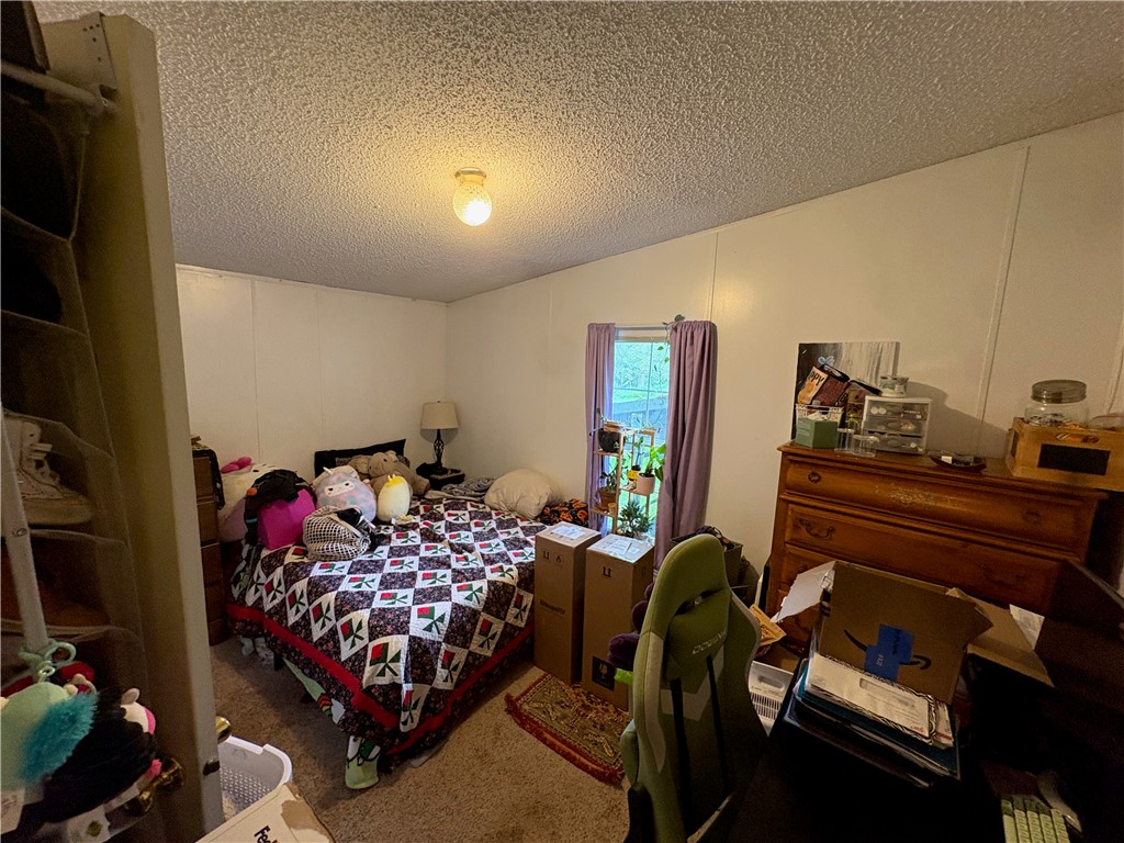 3753 Watkins Road Veteran, NY 14864 - Photo 10 of 24