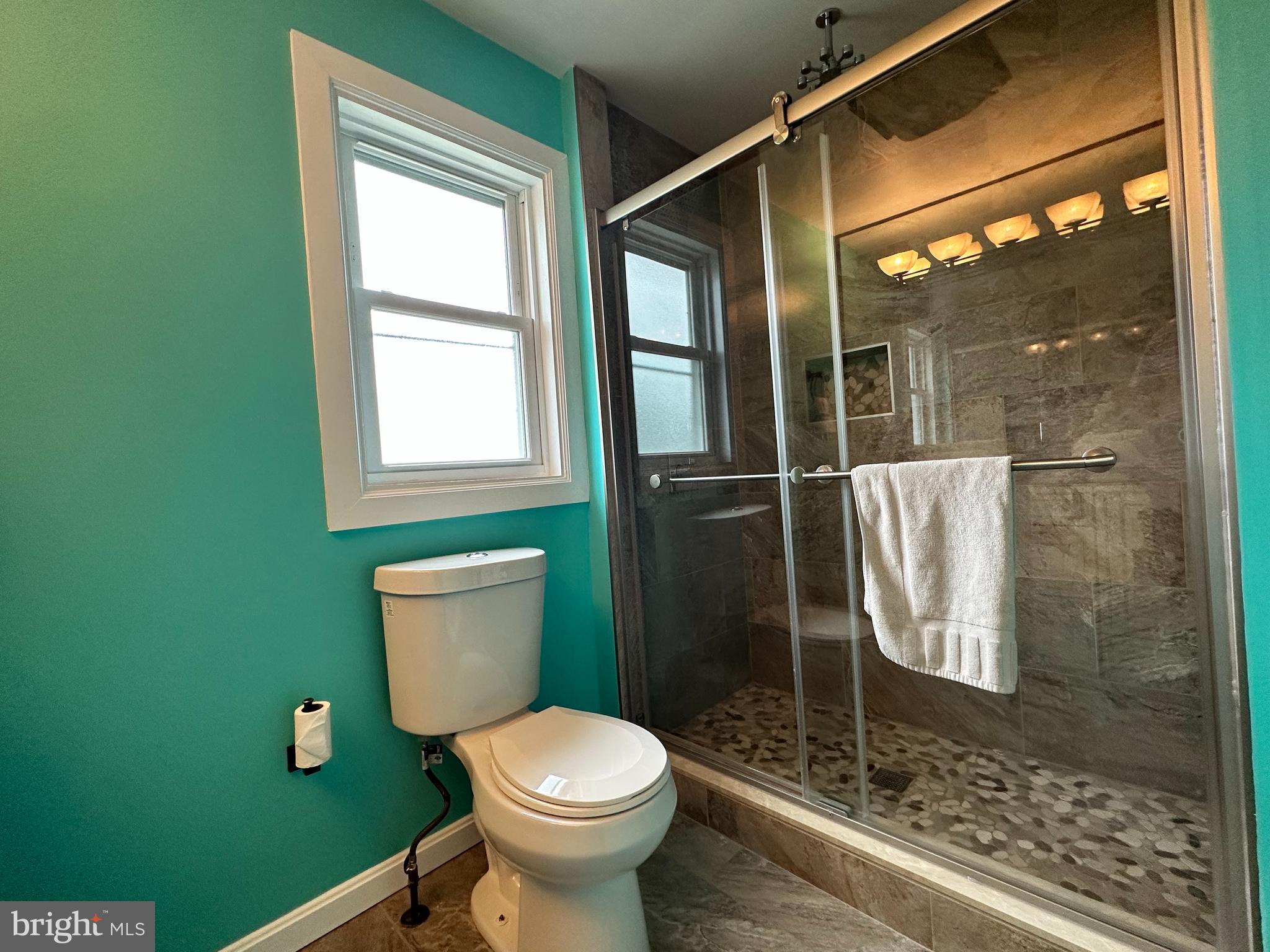 7517 B Street Chesapeake Beach, MD 20732 - Photo 62 of 78 a bathroom with a toilet and a shower