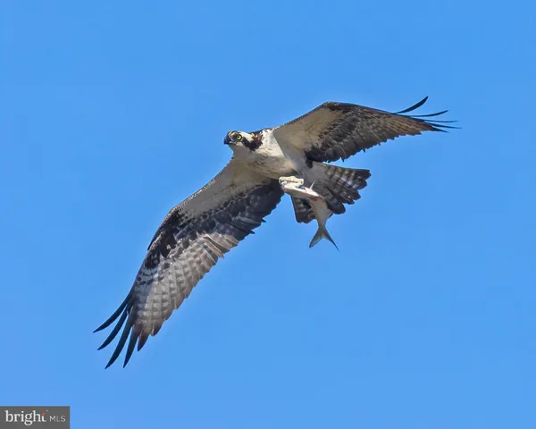 a view of a house with a balcony