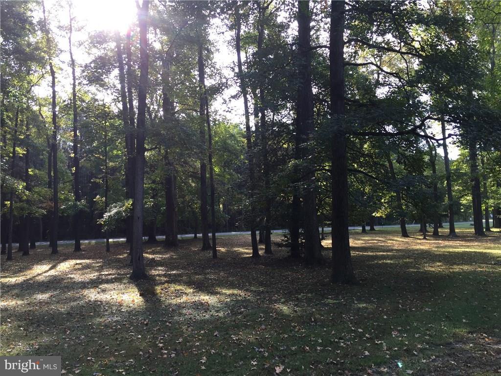 24212 Shortly Road Georgetown, DE 19947 - Photo 2 of 26