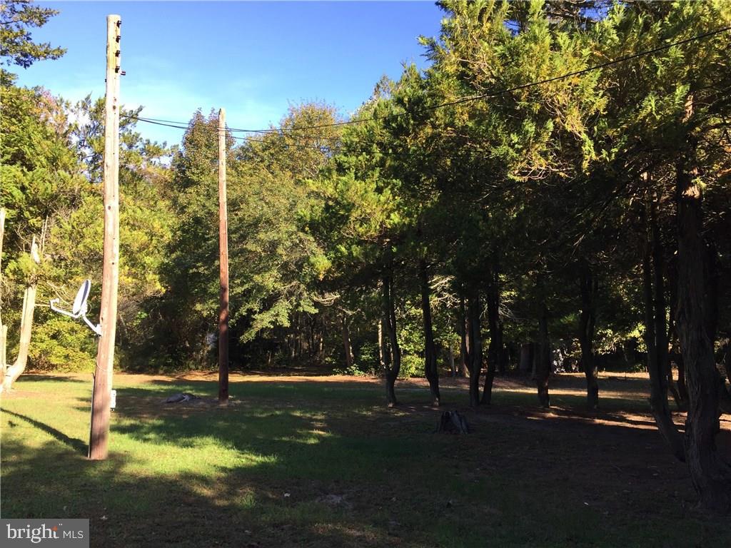 24212 Shortly Road Georgetown, DE 19947 - Photo 20 of 26