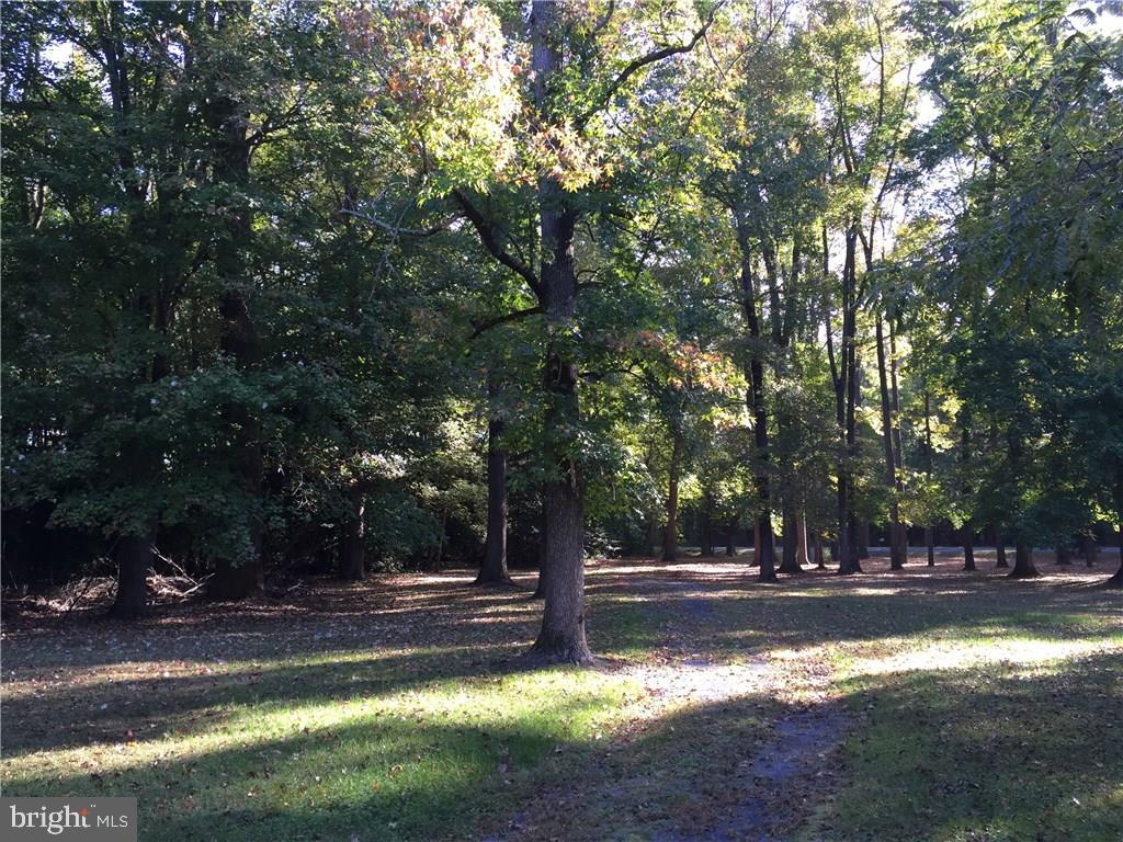 24212 Shortly Road Georgetown, DE 19947 - Photo 24 of 26