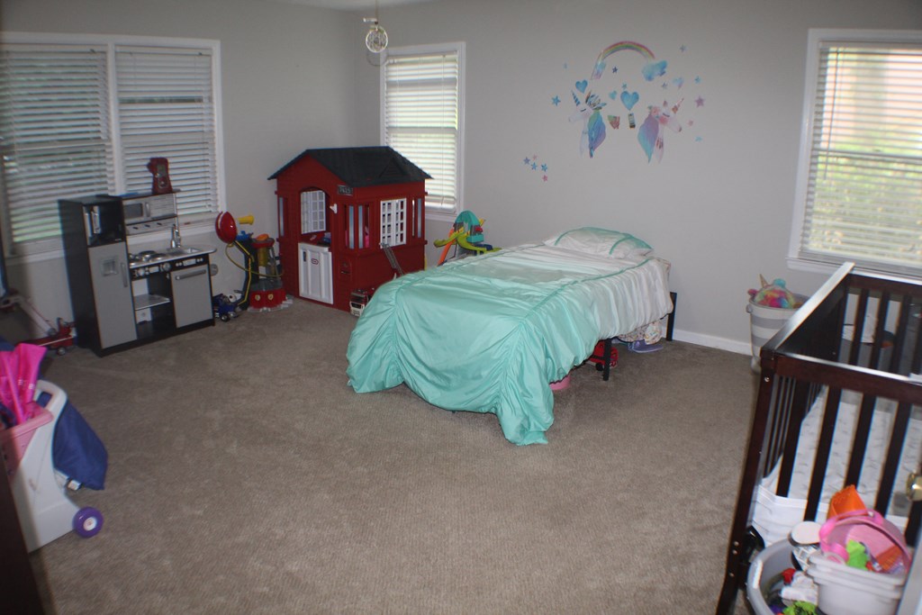 167 Willow Beach Road Ellerslie, GA 31807 - Photo 15 of 38 Gallery Image 15