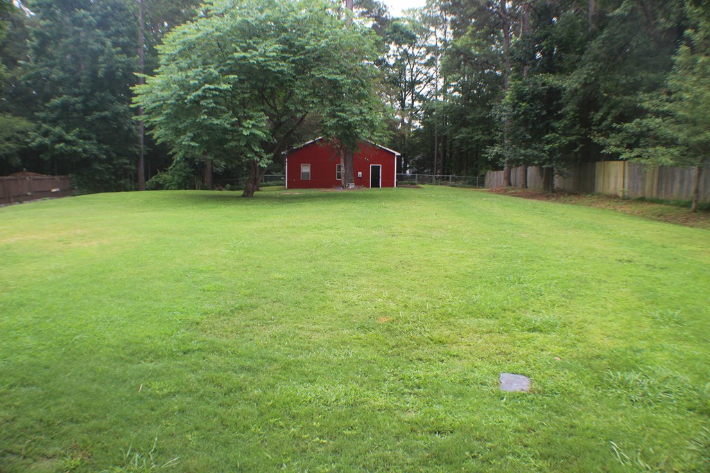 167 Willow Beach Road Ellerslie, GA 31807 - Photo 23 of 38 Gallery Image 23