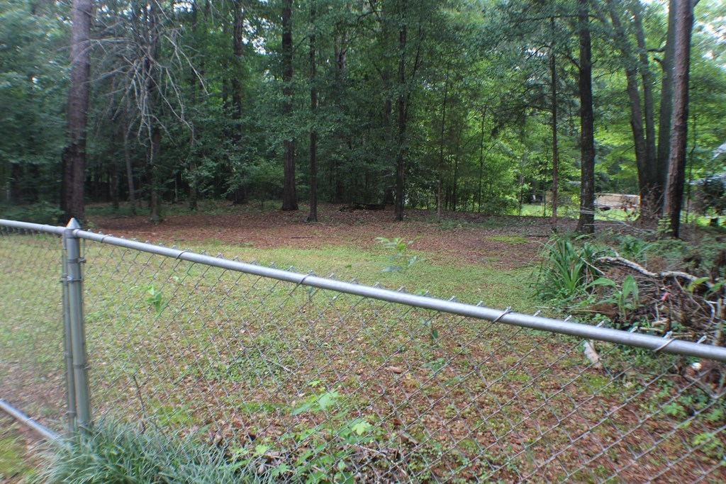167 Willow Beach Road Ellerslie, GA 31807 - Photo 29 of 38 Gallery Image 29
