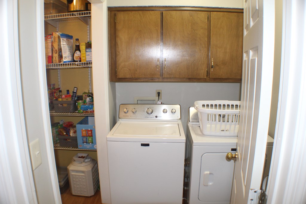 167 Willow Beach Road Ellerslie, GA 31807 - Photo 8 of 38 Gallery Image 8