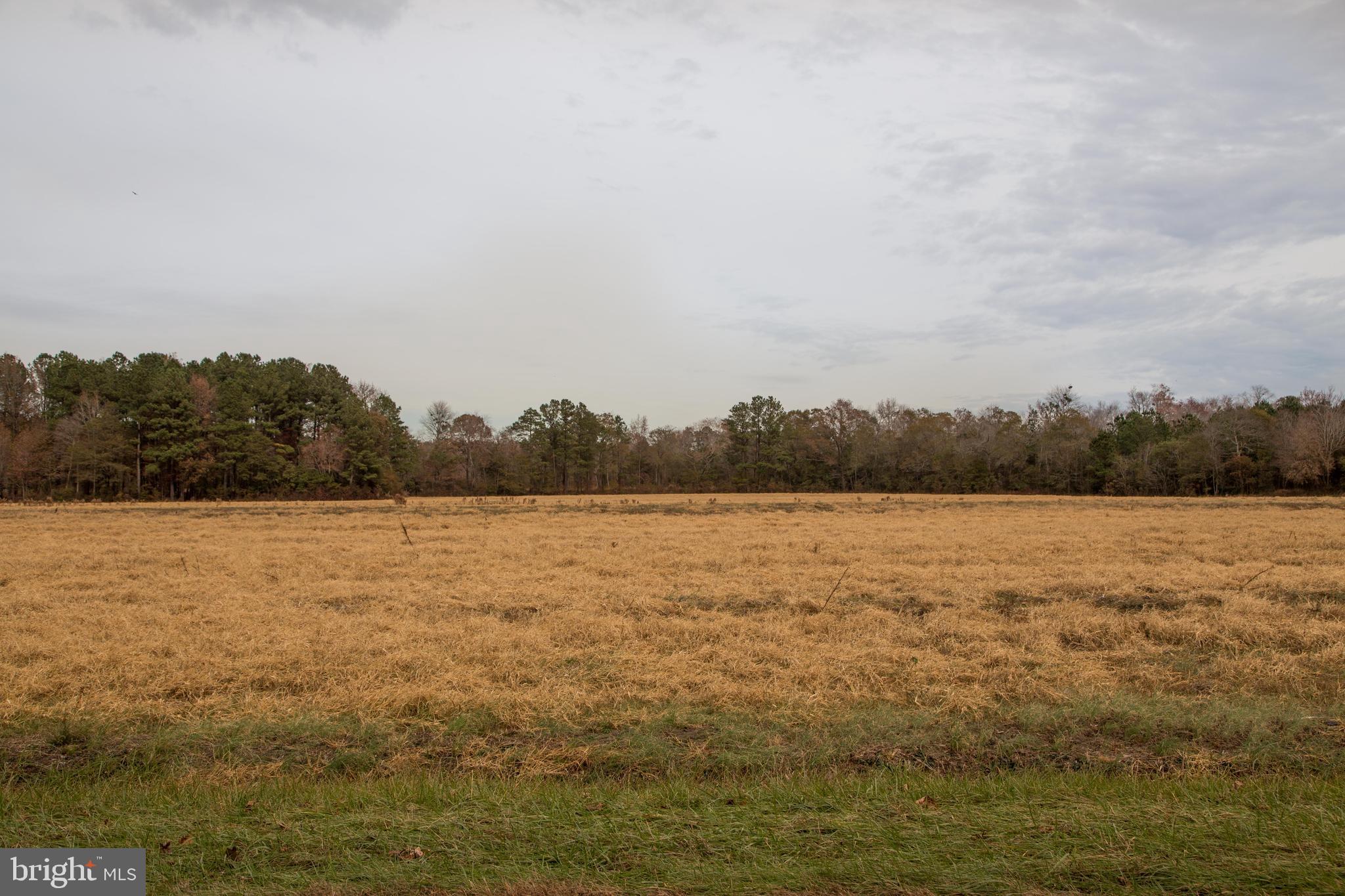 Parsonsburg Road Delmar, MD 21875 - Photo 1 of 2 Gallery Image 1