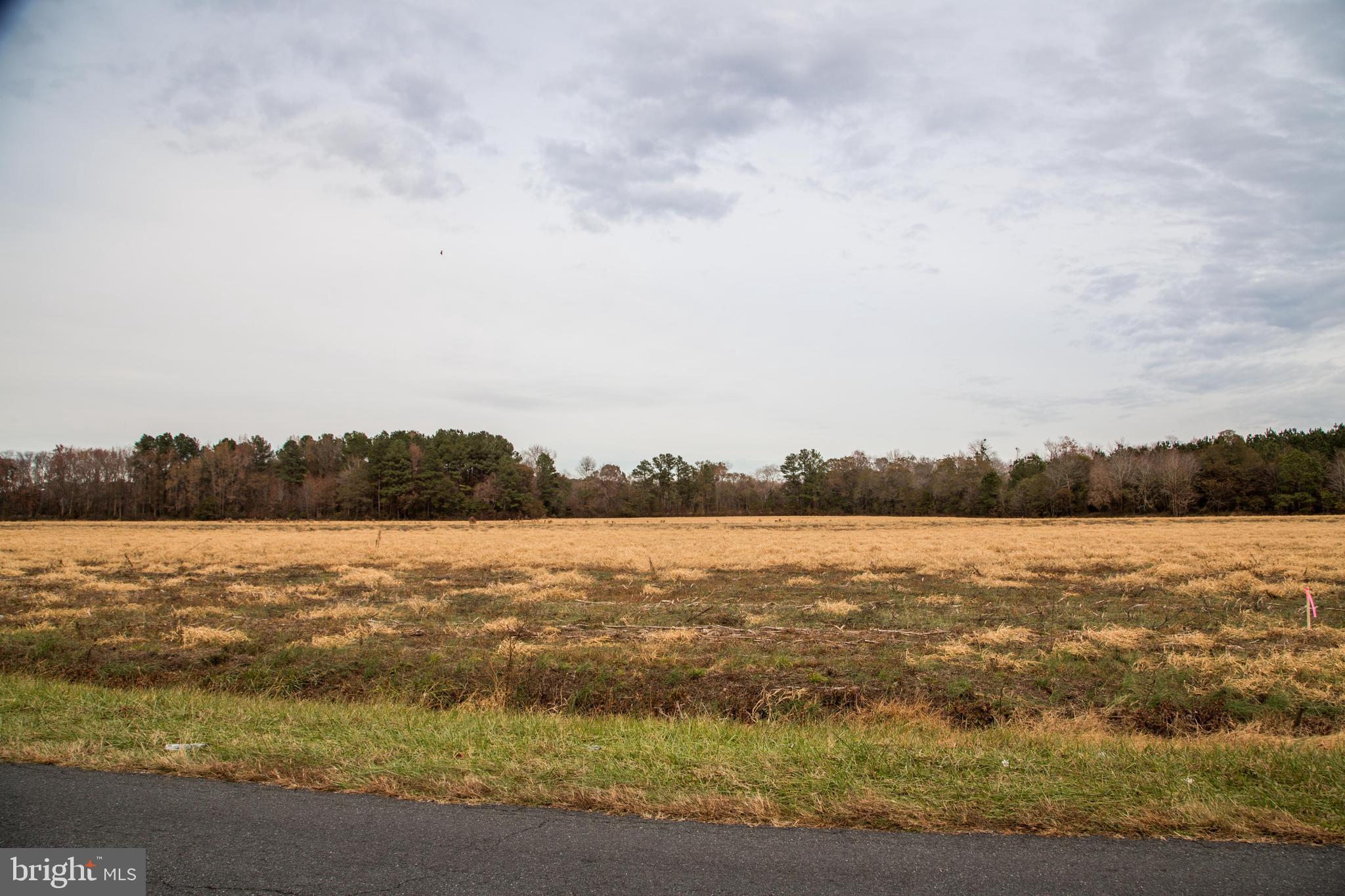 Parsonsburg Road Delmar, MD 21875 - Photo 2 of 2 Gallery Image 2