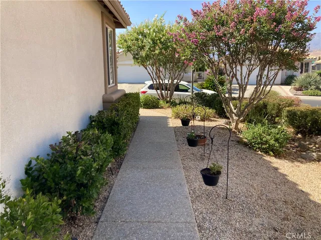 a view of backyard of the house