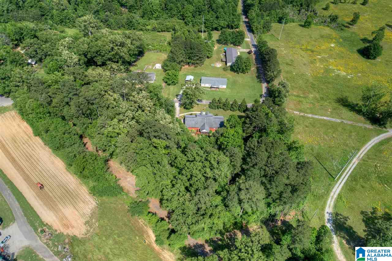 631 Dana Road Warrior, AL 35180 - Photo 37 of 41