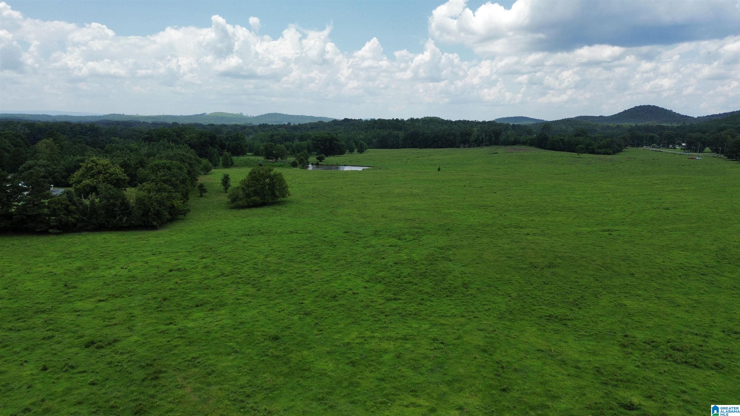 0 Risers Mill Road Alpine, AL 35014 - Photo 2 of 25