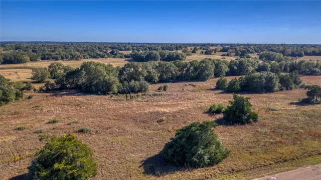 a view of a dry yard with trees