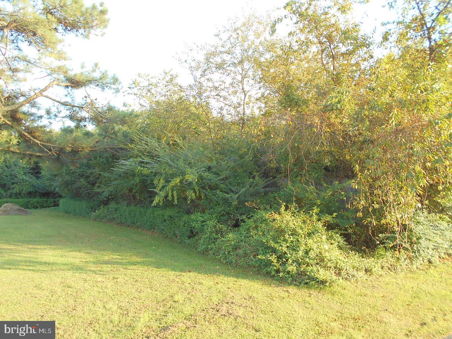 1548 Grant Road Stockton, MD 21864 - Photo 2 of 4 a view of a lake view