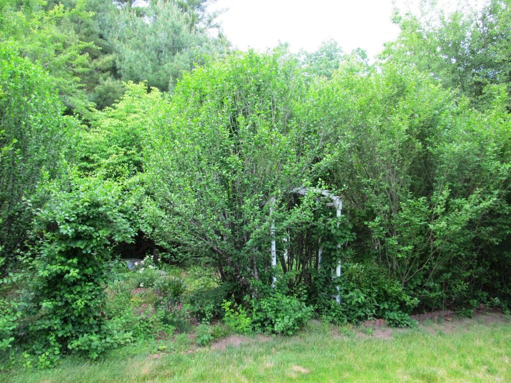 8 Muscatanipus Road Brookline, NH 03033 - Photo 29 of 36