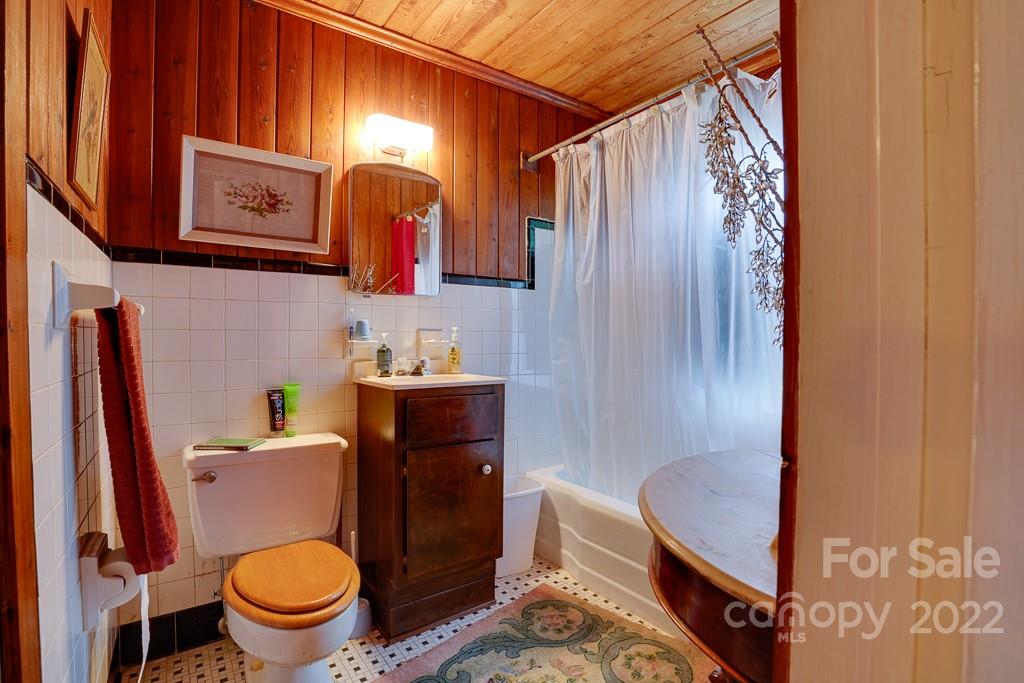 60 Mimosa Inn Drive Tryon, NC 28782 - Photo 20 of 26 a bathroom with a toilet a sink and a shower curtain