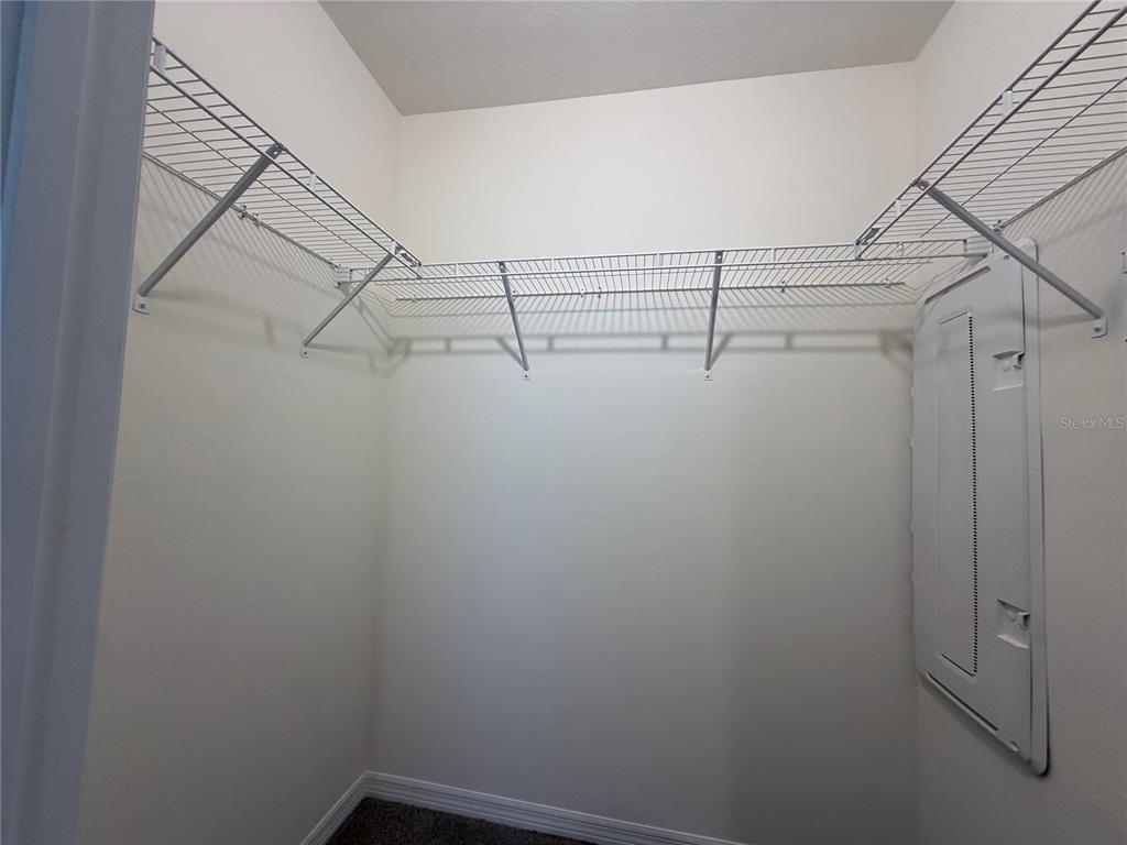 32507 Turtle Grace Loop Wesley Chapel, FL 33545 - Photo 25 of 44