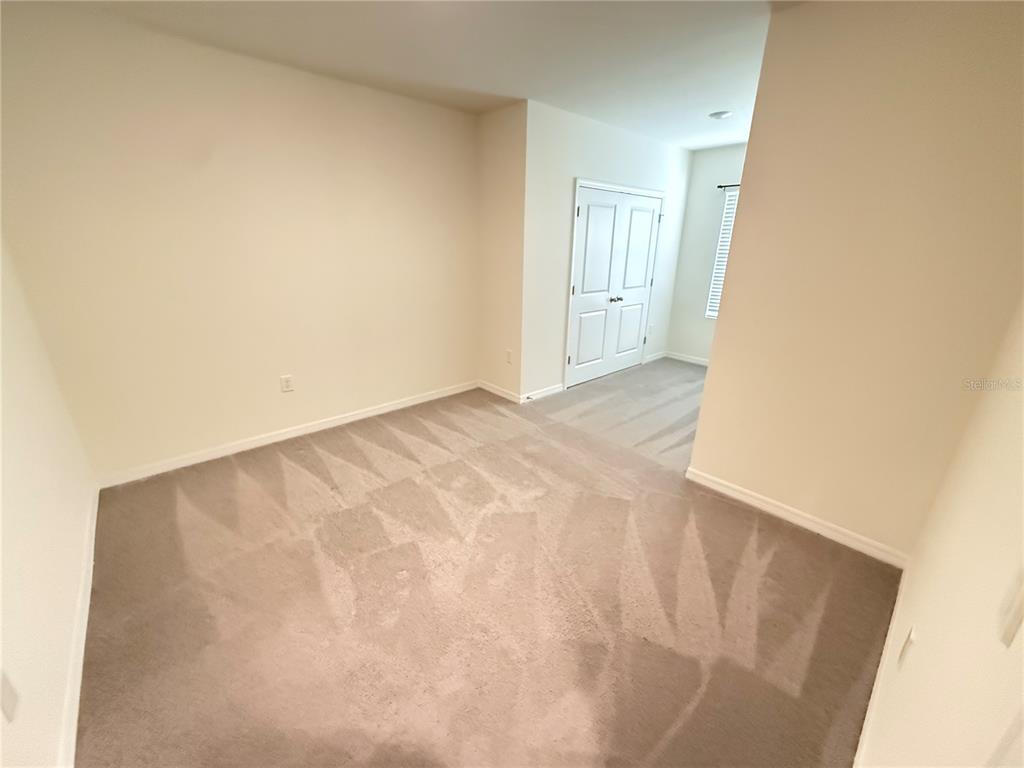 32507 Turtle Grace Loop Wesley Chapel, FL 33545 - Photo 30 of 44