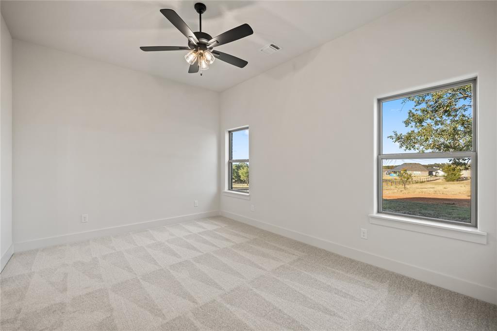 7004 Rnch Vw Place Springtown, TX 76082 - Photo 10 of 25 Vaulted ceiling with a ceiling fan, patterned carpet flooring, and multiple windows