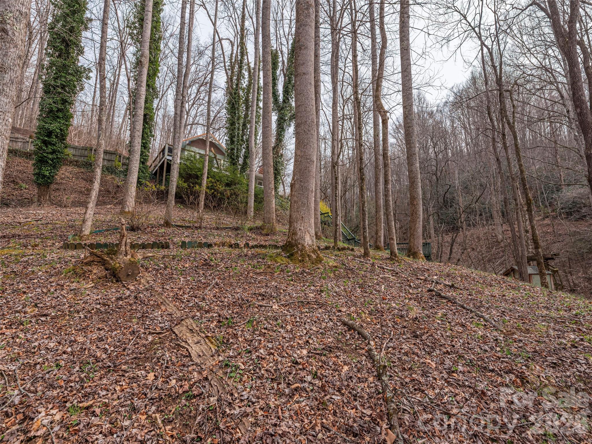 897 Dark Ridge Road Sylva, NC 28779 - Photo 35 of 39 Gallery Image 35