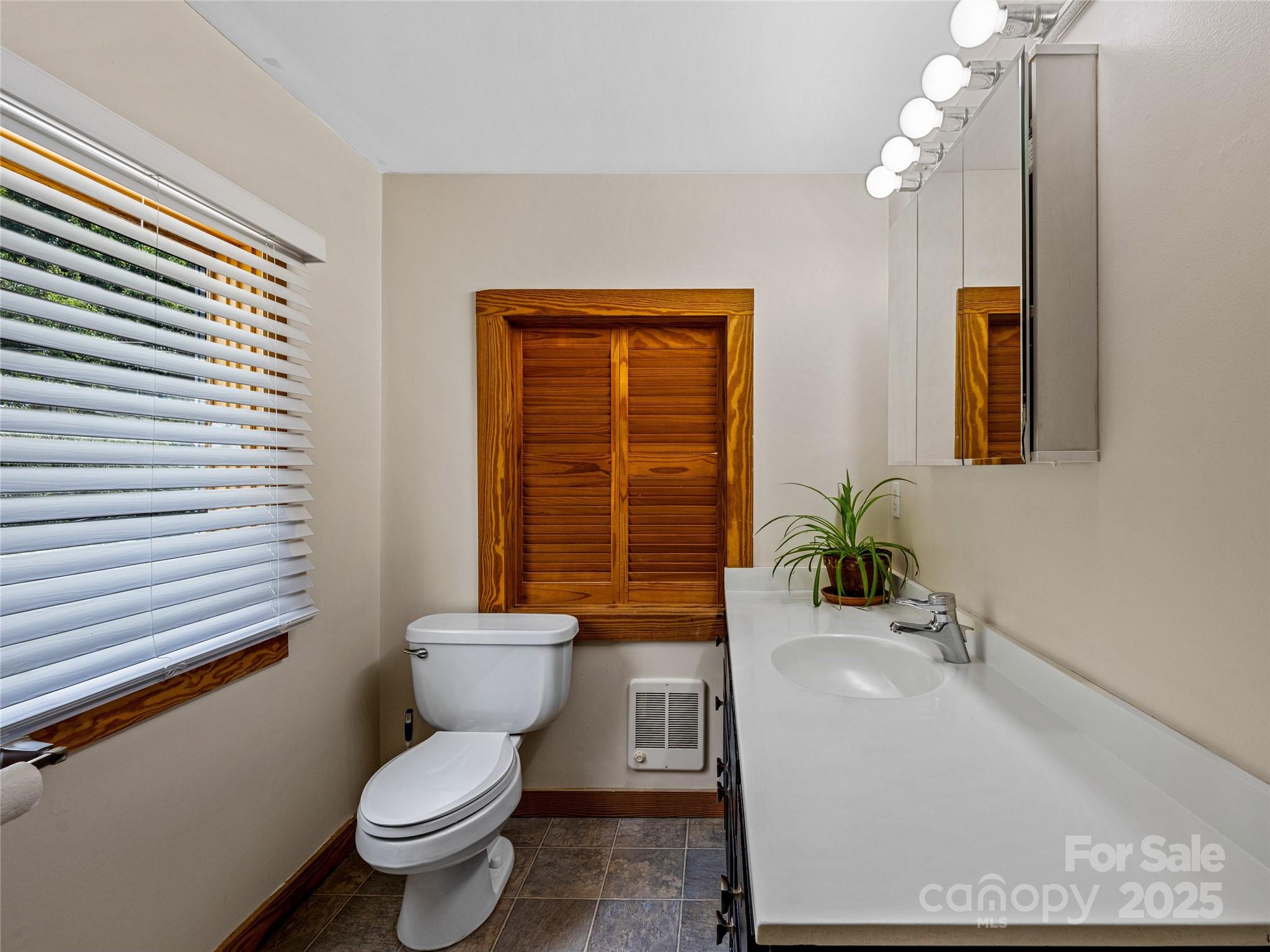 11 Pinewood Road Asheville, NC 28805 - Photo 21 of 31 a bathroom with a sink a toilet and tub