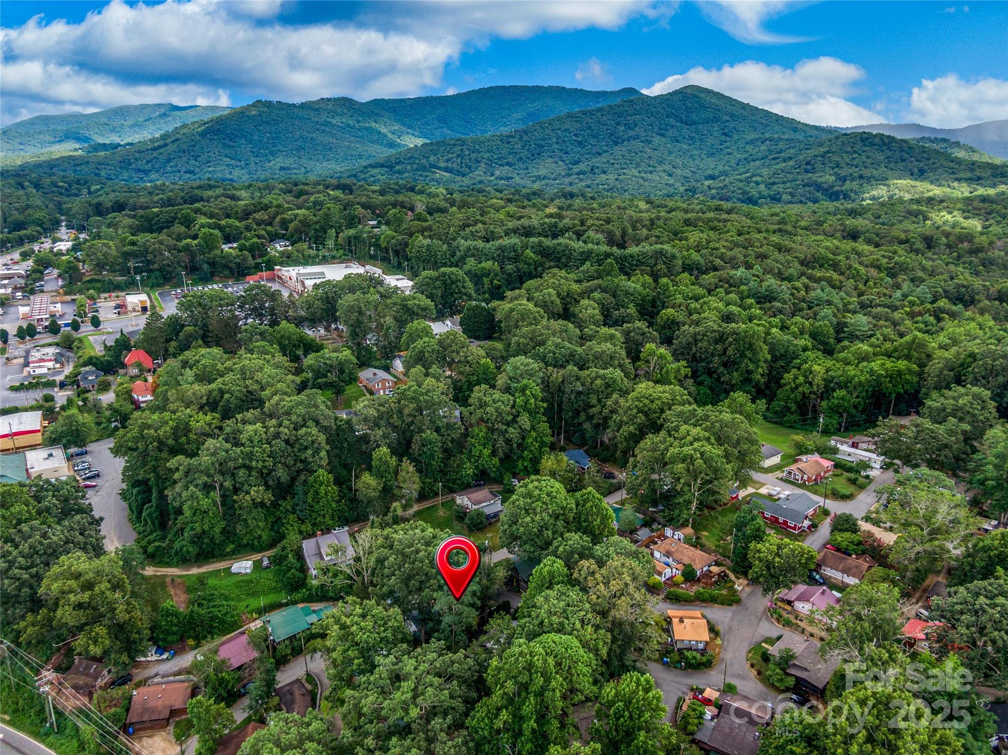 11 Pinewood Road Asheville, NC 28805 - Photo 28 of 31