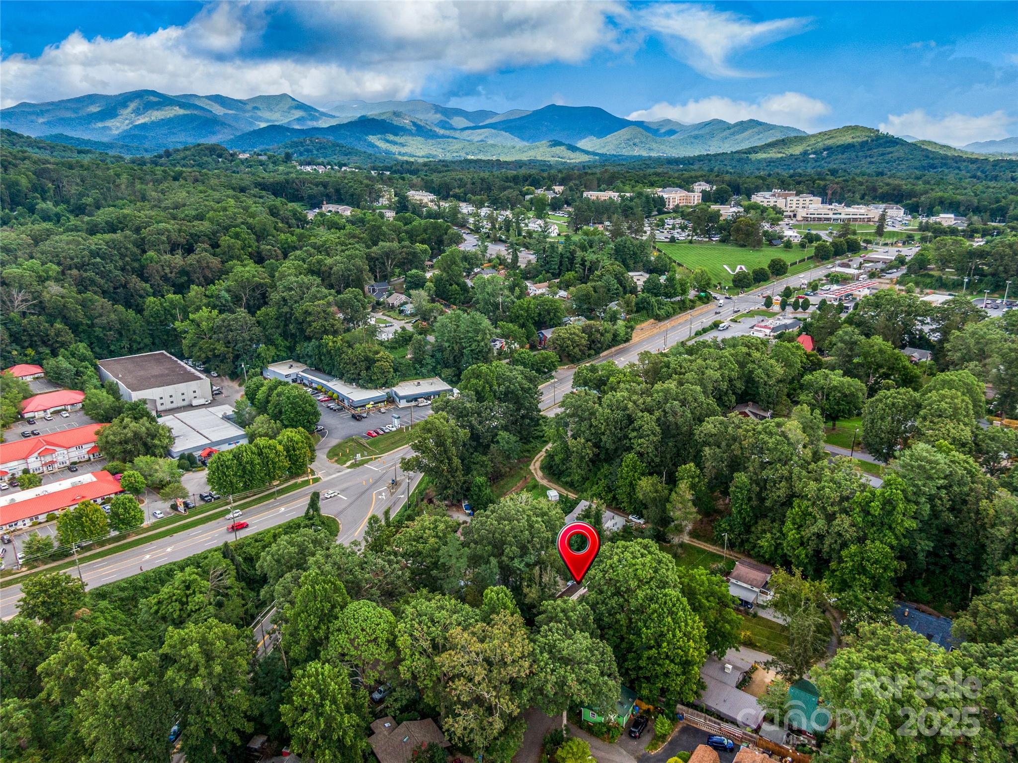 11 Pinewood Road Asheville, NC 28805 - Photo 29 of 31 a view of a city and mountains