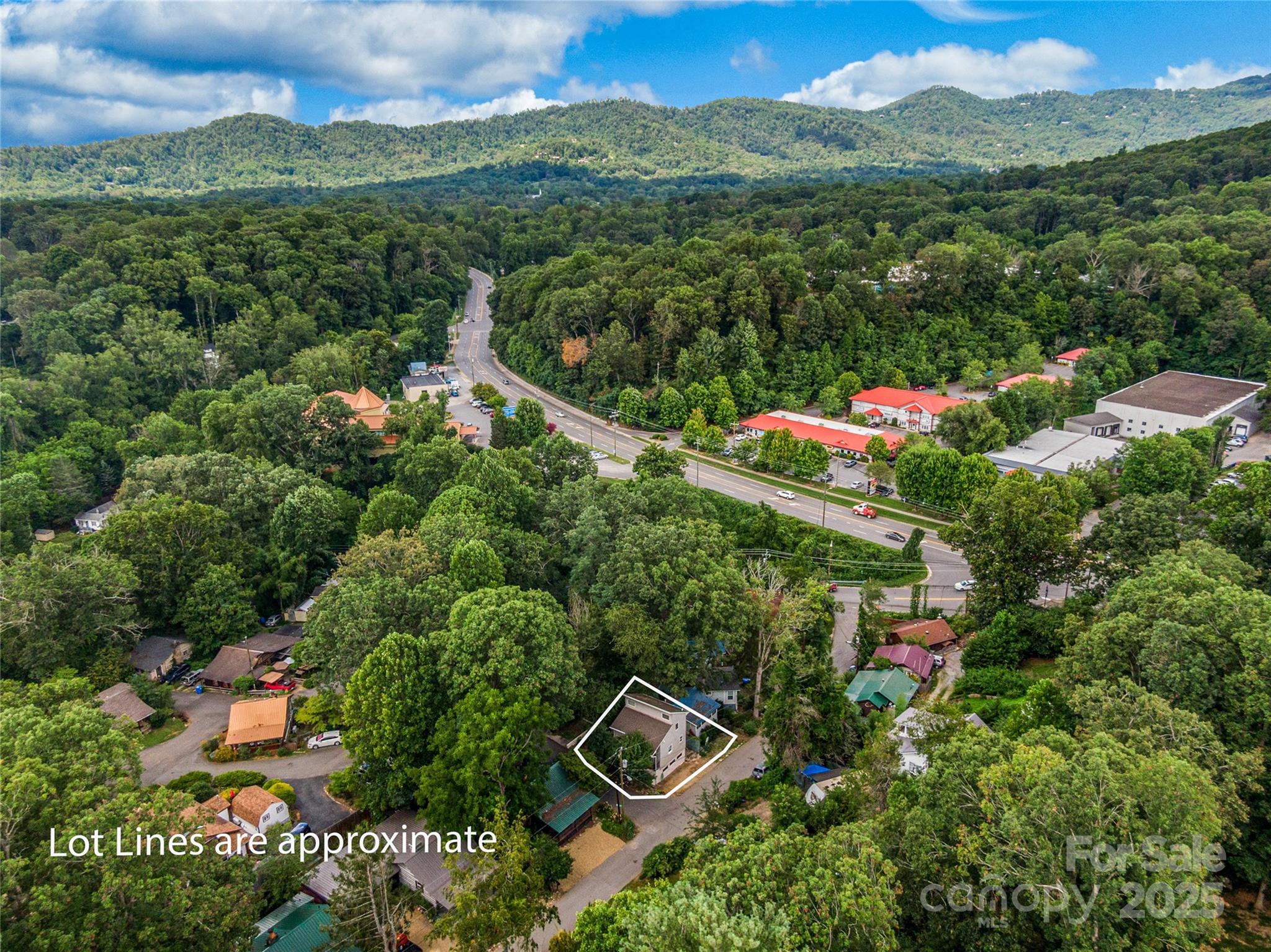 11 Pinewood Road Asheville, NC 28805 - Photo 4 of 31 a view of a city with lush green forest