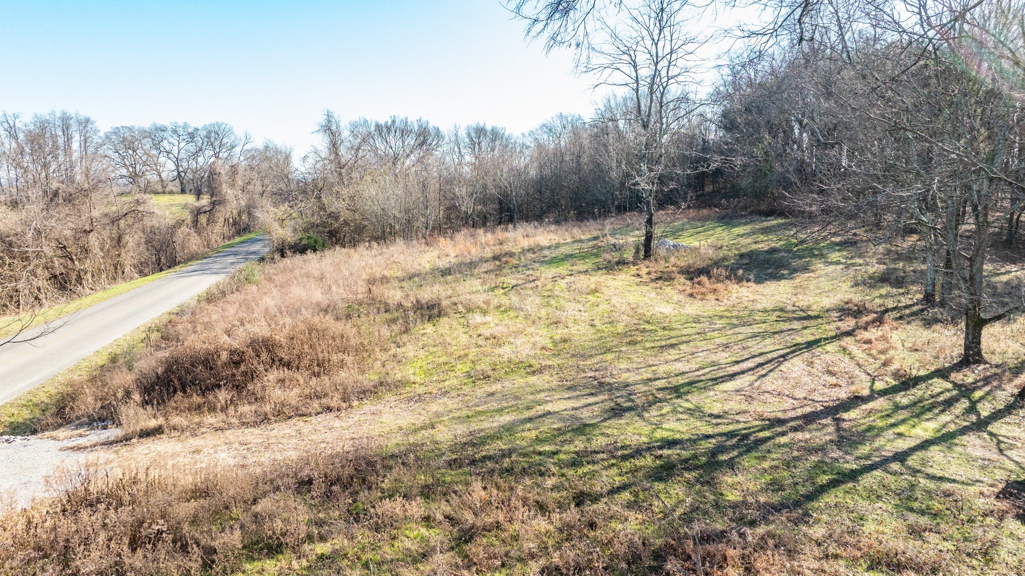 0 Nicholson Schoolhouse Road Columbia, TN 38401 - Photo 12 of 15 a view of a backyard of the house