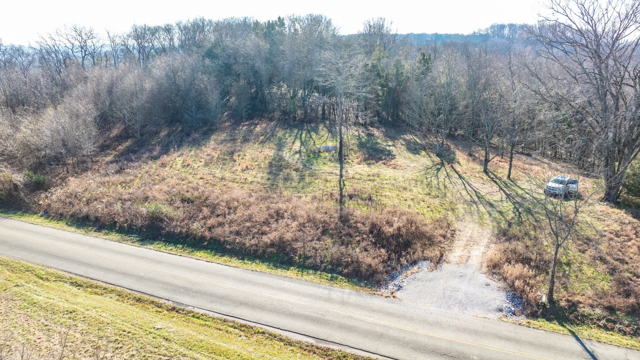 0 Nicholson Schoolhouse Road Columbia, TN 38401 - Photo 4 of 15 a view of a yard with a tree