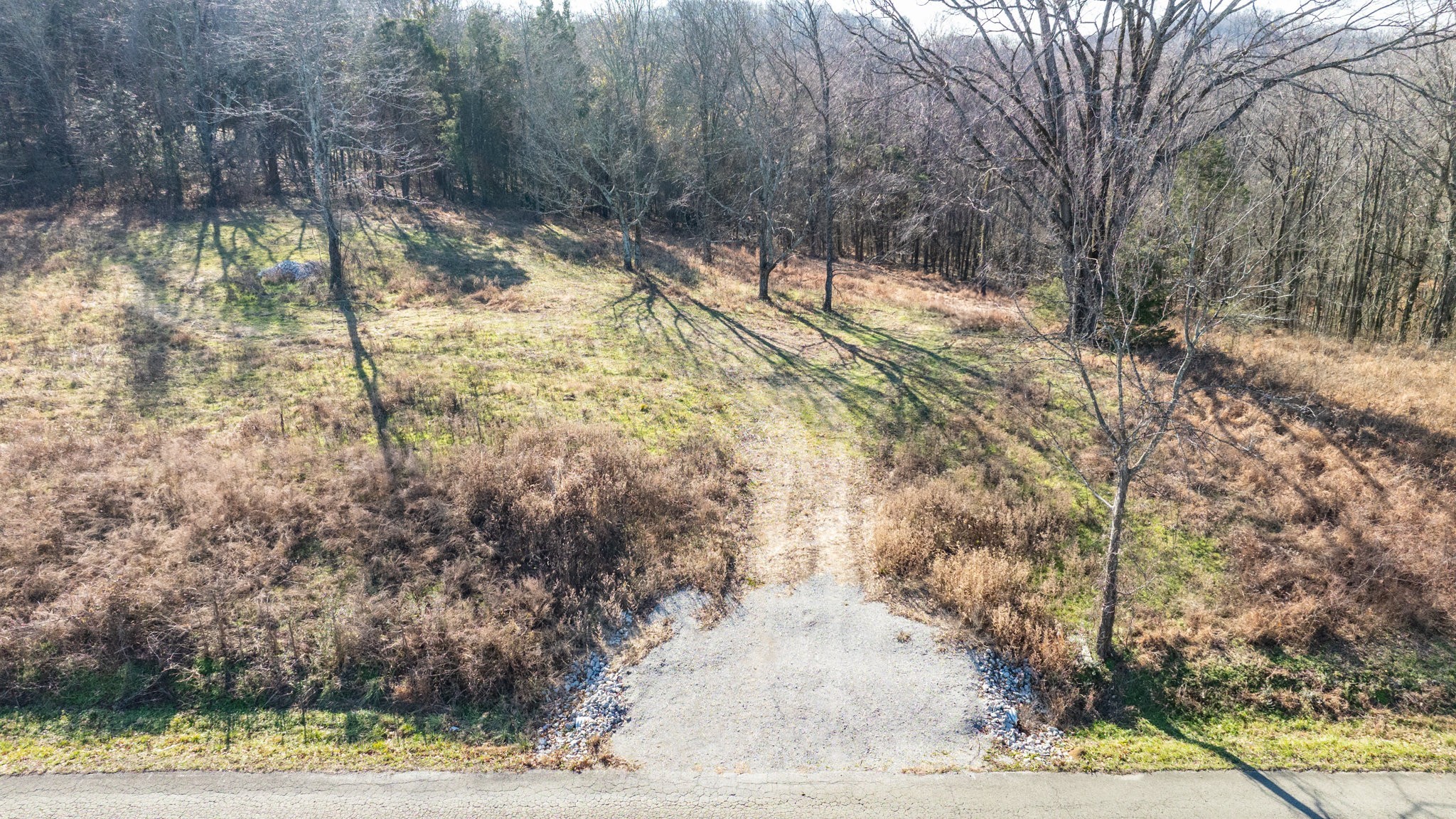 0 Nicholson Schoolhouse Road Columbia, TN 38401 - Photo 5 of 15 a view of a yard with wooden fence