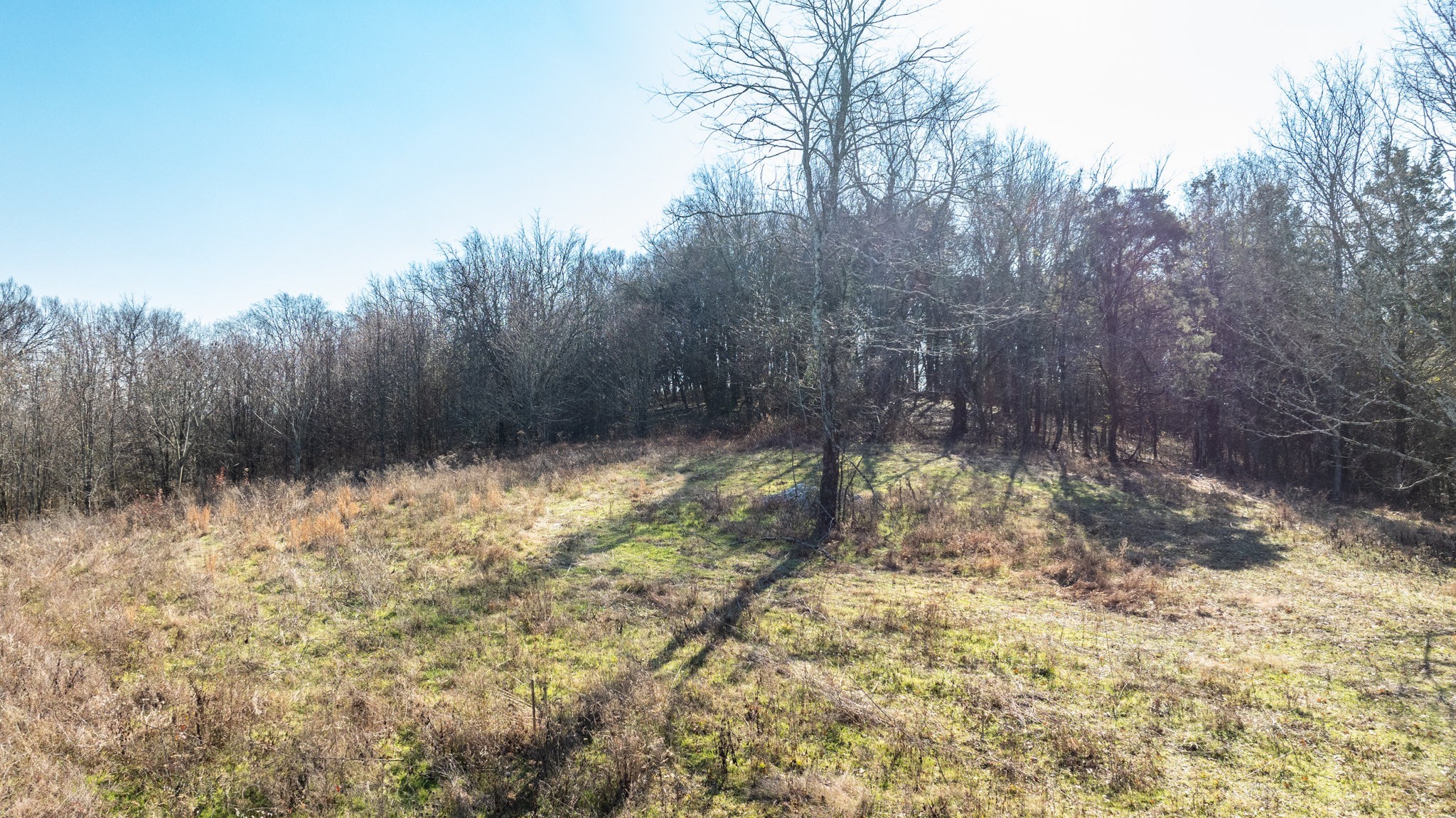 0 Nicholson Schoolhouse Road Columbia, TN 38401 - Photo 7 of 15 a view of backyard with tree