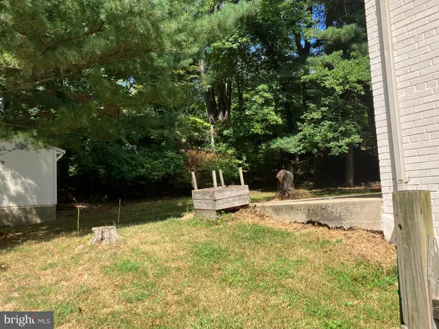 a white house that has a tree in front of it
