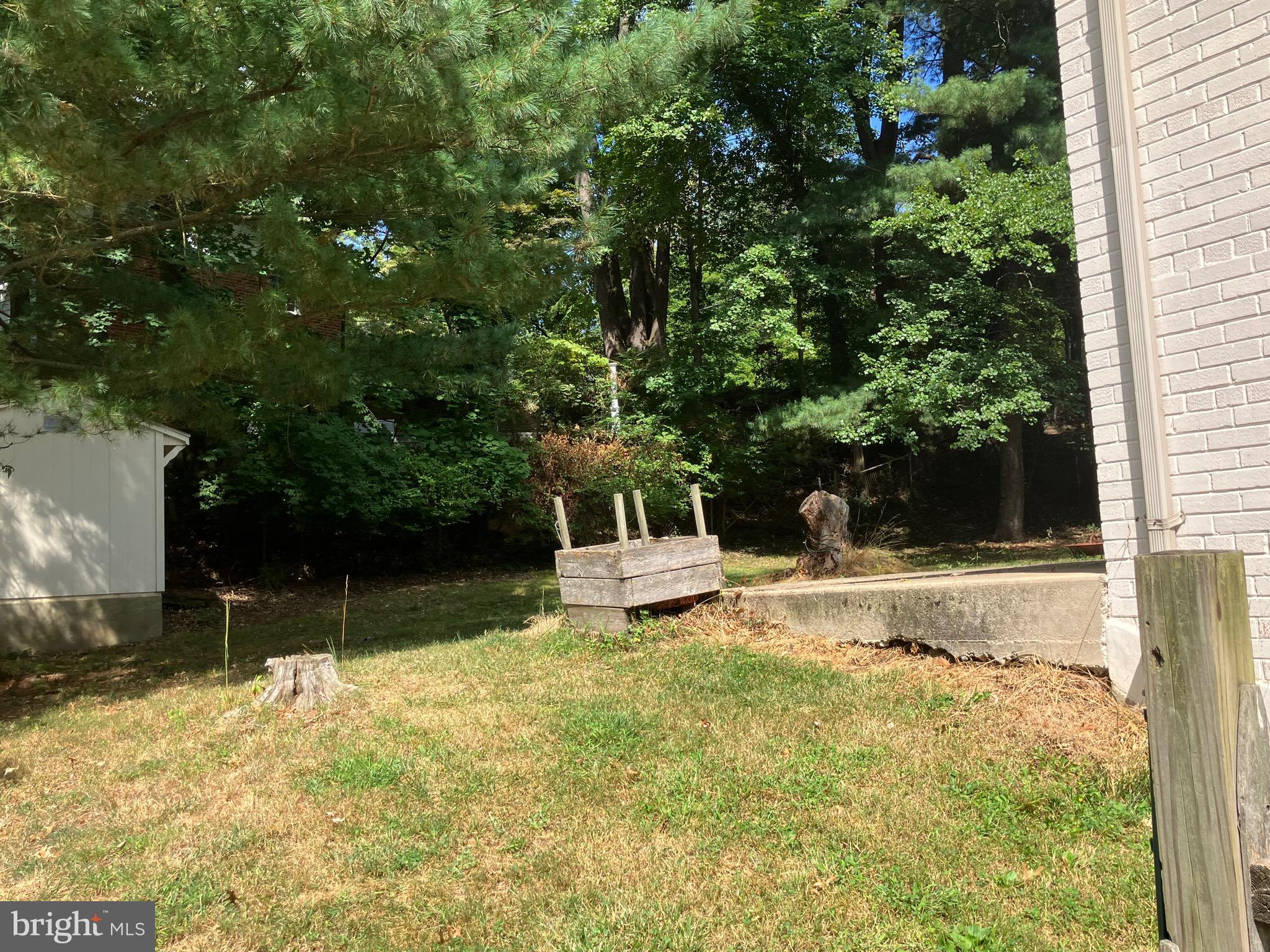 10316 Royal Road Silver Spring, MD 20903 - Photo 6 of 46 a white house that has a tree in front of it