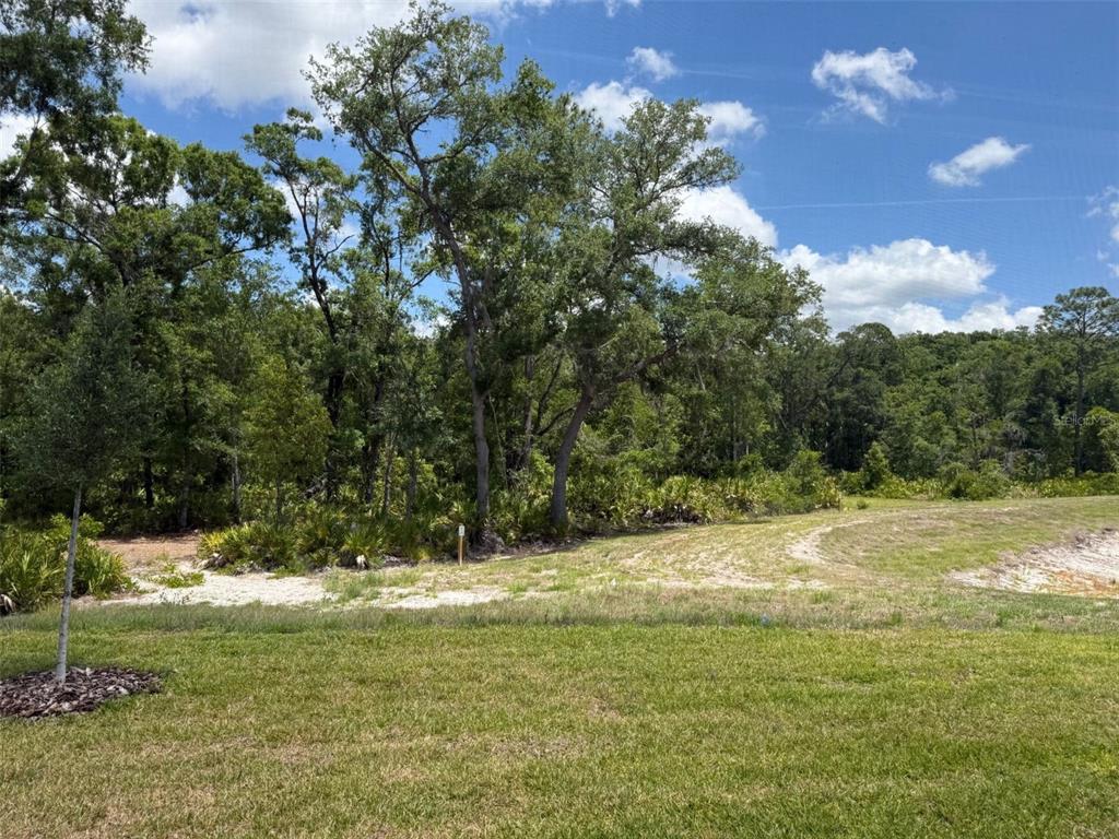 13552 Cyn Rdg Road Spring Hill, FL 34610 - Photo 18 of 31 Gallery Image 18