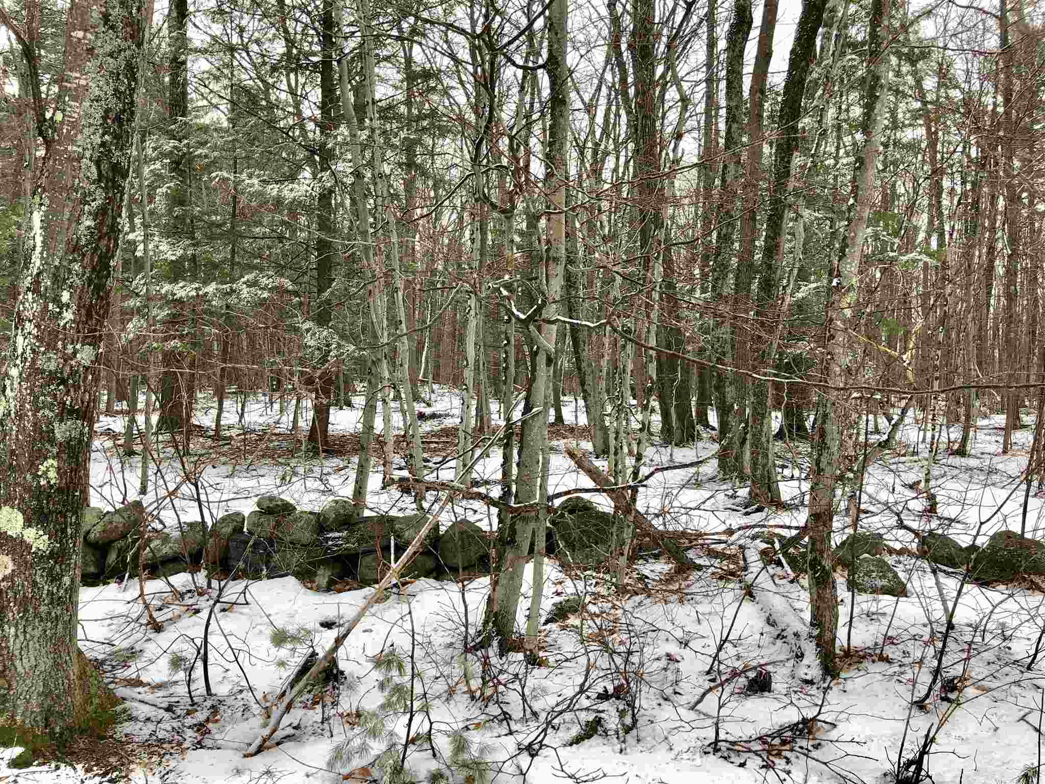 Lot 405-013 Middle Route Gilmanton Iron Works, NH 03837 - Photo 1 of 5