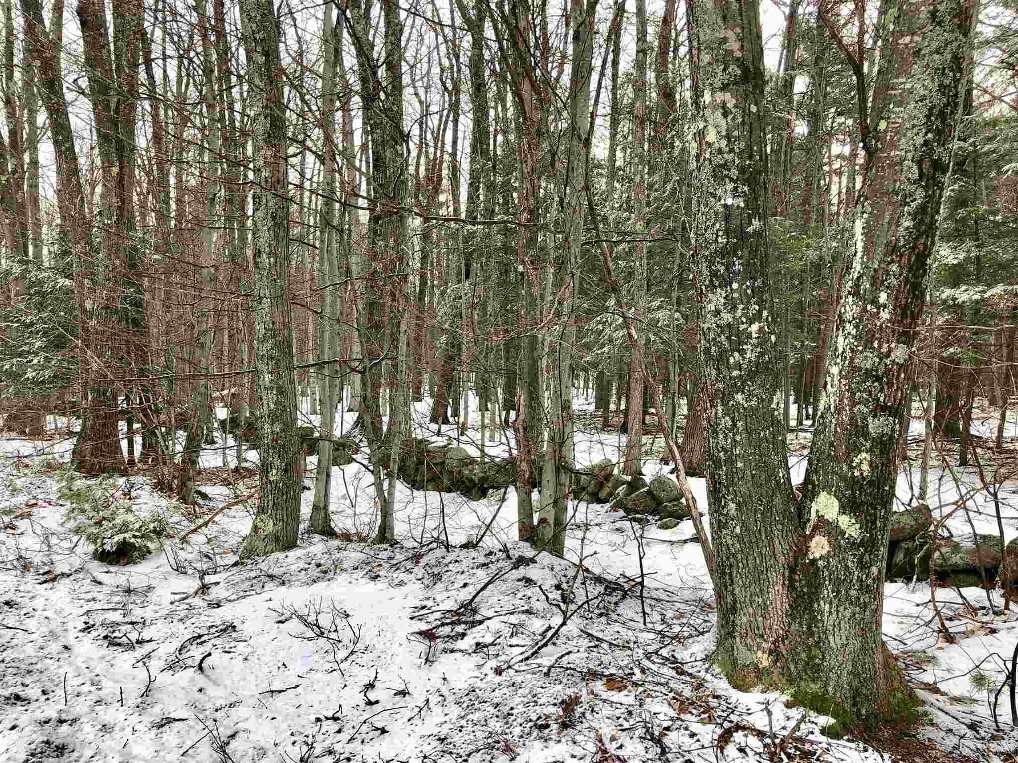 Lot 405-013 Middle Route Gilmanton Iron Works, NH 03837 - Photo 2 of 5