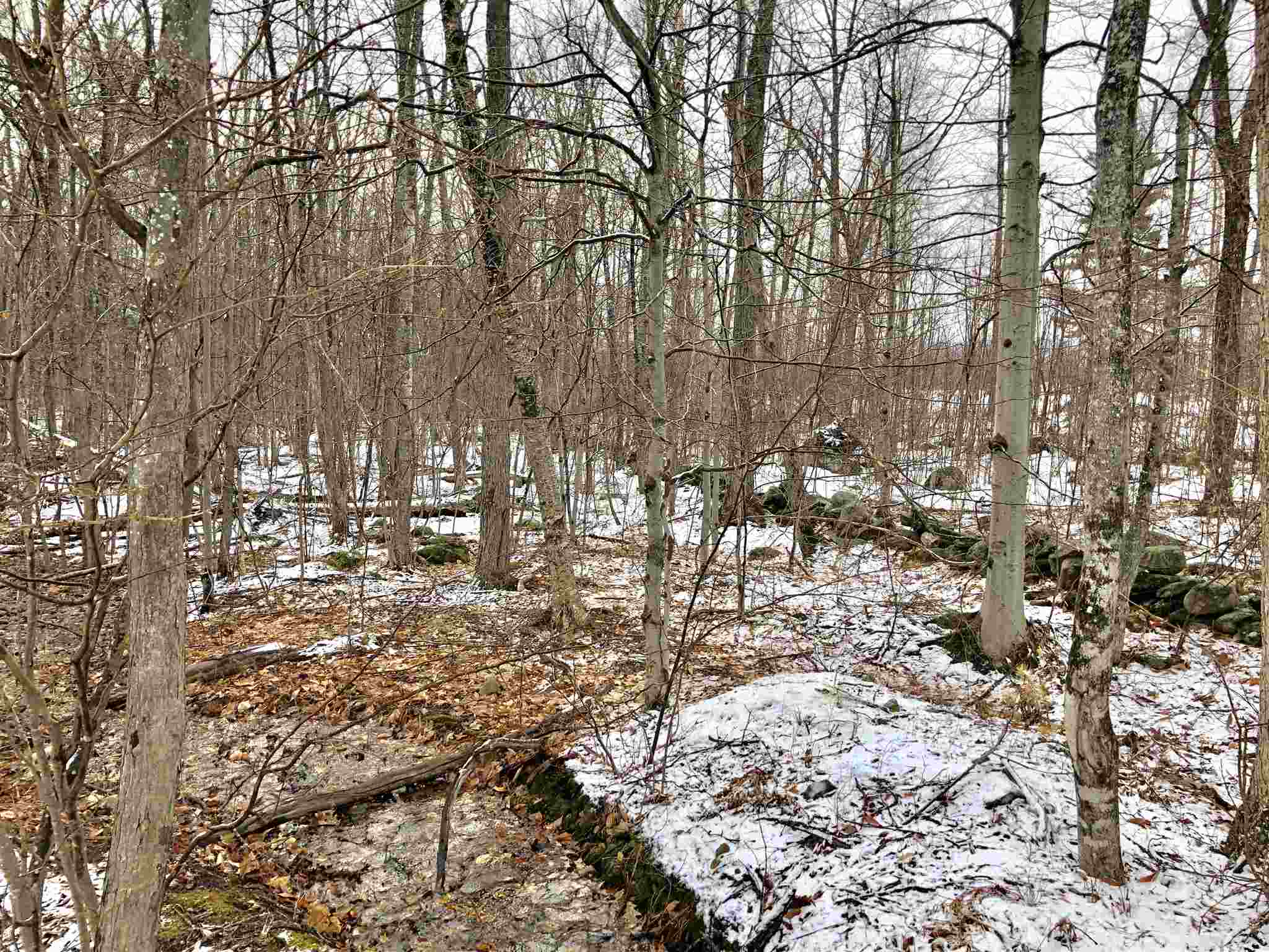 Lot 405-013 Middle Route Gilmanton Iron Works, NH 03837 - Photo 3 of 5