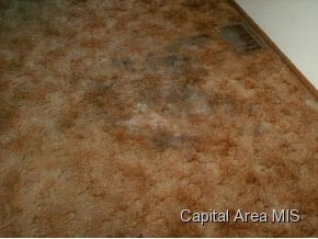 206 Berry Street Gillespie, IL 62033 - Photo 13 of 20 Gallery Image 13