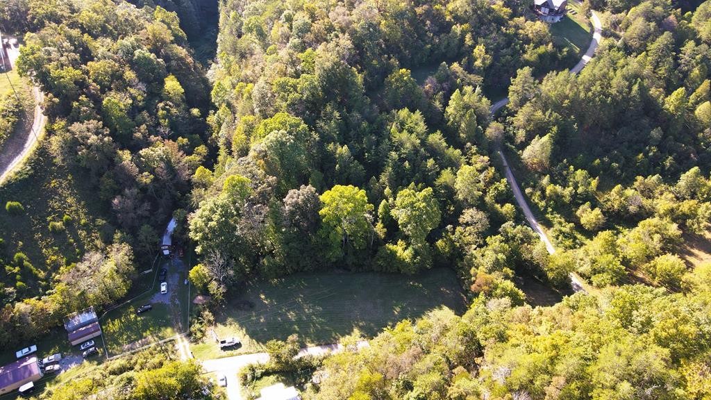 0 Reagan Branch Road Seymour, TN 37865 - Photo 10 of 31