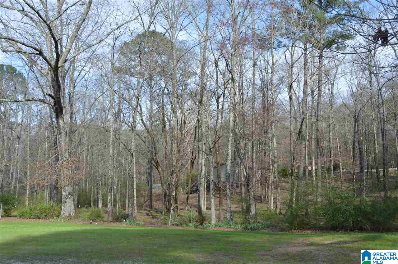 3337 Nail Road Warrior, AL 35180 - Photo 2 of 50