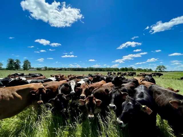 $550,000 | Tbd Tbd 5th Camp, Camp Douglas, WI 54618