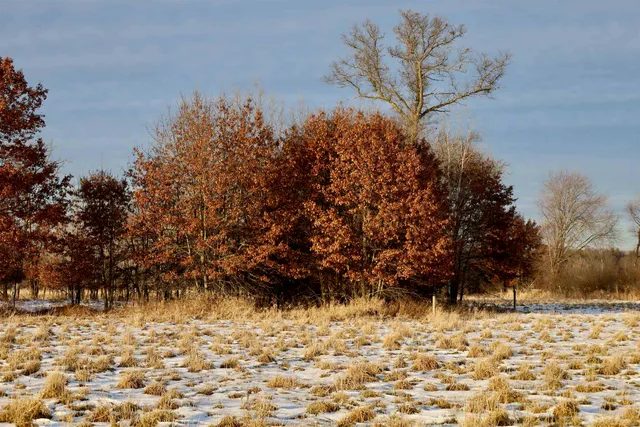 $550,000 | Tbd Tbd 5th Camp, Camp Douglas, WI 54618