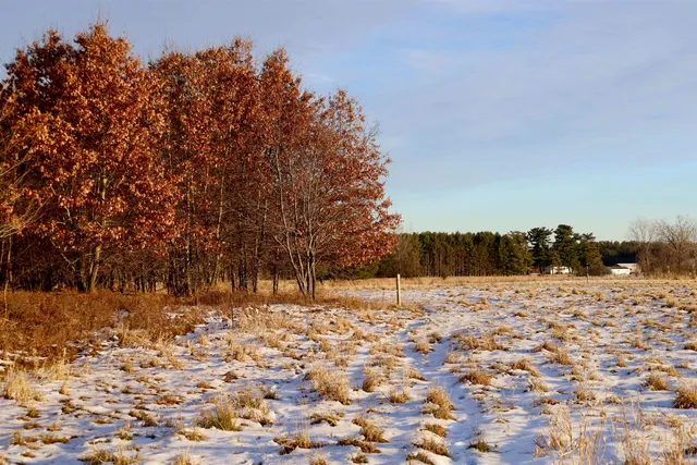 $550,000 | Tbd Tbd 5th Camp, Camp Douglas, WI 54618