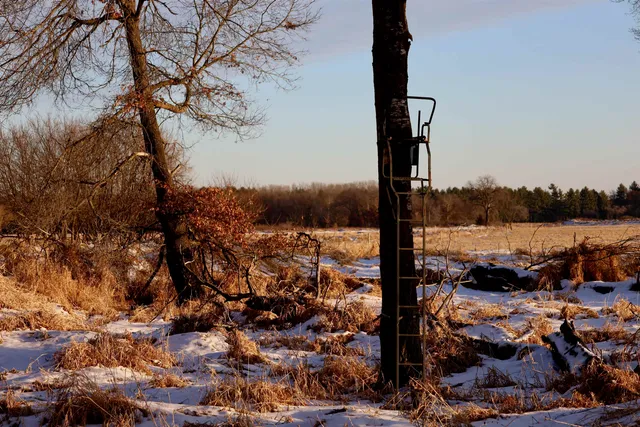 $550,000 | Tbd Tbd 5th Camp, Camp Douglas, WI 54618