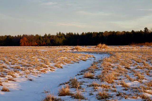 $550,000 | Tbd Tbd 5th Camp, Camp Douglas, WI 54618