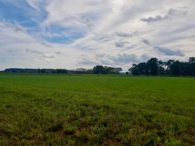 $550,000 | Tbd Tbd 5th Camp, Camp Douglas, WI 54618