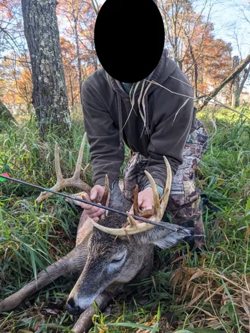 $550,000 | Tbd Tbd 5th Camp, Camp Douglas, WI 54618