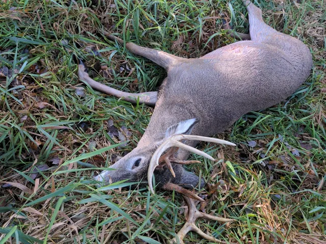 $550,000 | Tbd Tbd 5th Camp, Camp Douglas, WI 54618